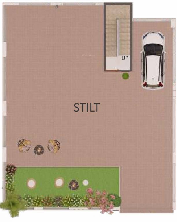 Shantee Spring Field