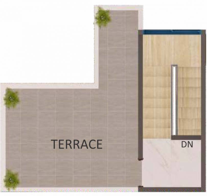 Shantee Spring Field