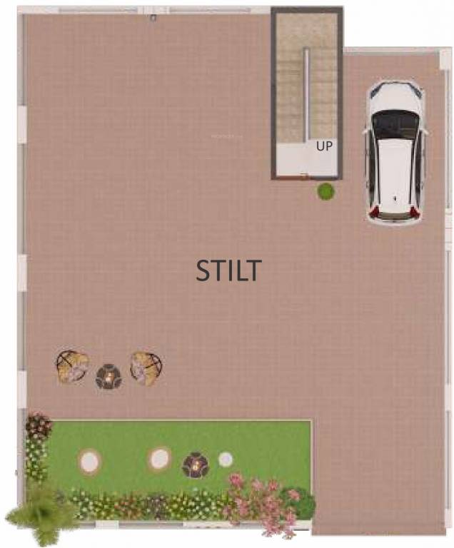 Shantee Spring Field