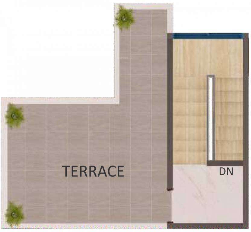 Shantee Spring Field