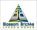 Blossom Brickks Lands And Homes