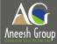 Aneesh Group