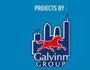 Galvinn Group