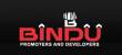 Bindu