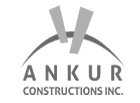 Ankur Constructions