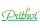 Images for Logo of Prithvi Group