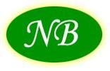 Naveen Builders