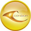 Condor Builders Pvt Ltd