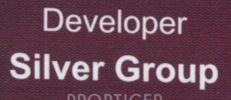 Silver Groups