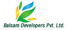 Balsam Developers