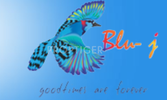 Blu J Projects