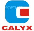 Calyx Projects India P Ltd
