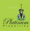Platinum Properties