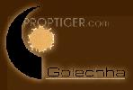 Golechha
