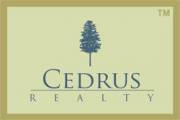 Cedrus