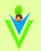 Vaibhavi Ventures