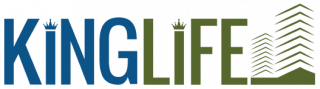 Kinglife Infra