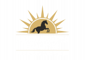 Ashwasurya Realities