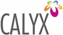 Calyx Constructions