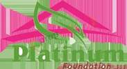 Platinum Foundations