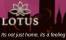 Lotus Realtech