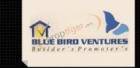 Blue Bird Ventures