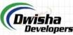 Dwisha Developers