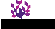 SLN Developers