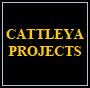 Cattleya project