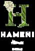 Zaya Hameni