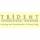Trident International Holdings