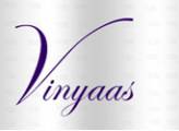 Vinyaas Project