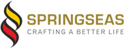 Springseas BDK Developers