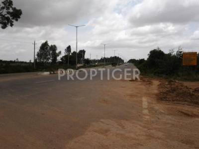 xyz Locality bg image