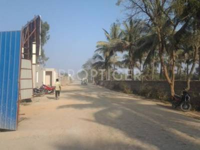 xyz Locality bg image